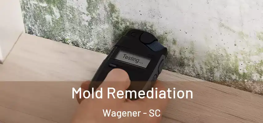 Mold Remediation Wagener - SC