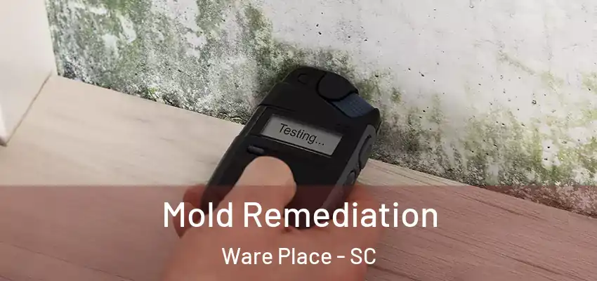 Mold Remediation Ware Place - SC