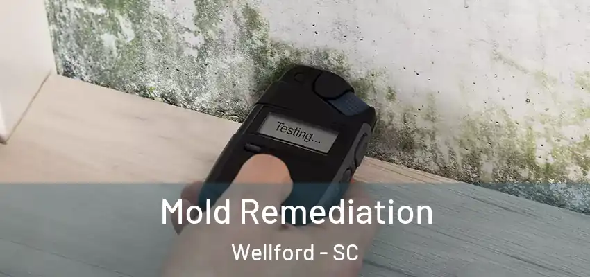  Mold Remediation Wellford - SC