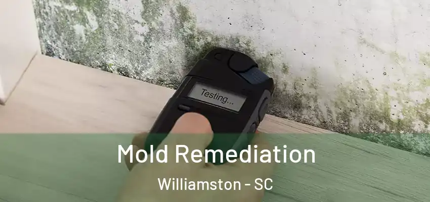  Mold Remediation Williamston - SC