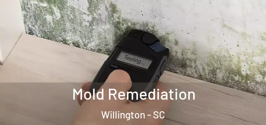  Mold Remediation Willington - SC