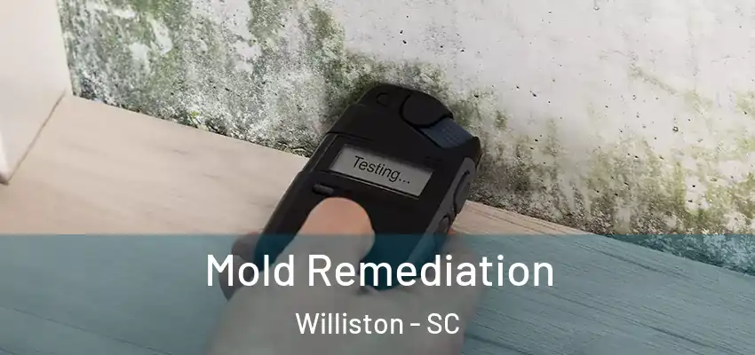 Mold Remediation Williston - SC
