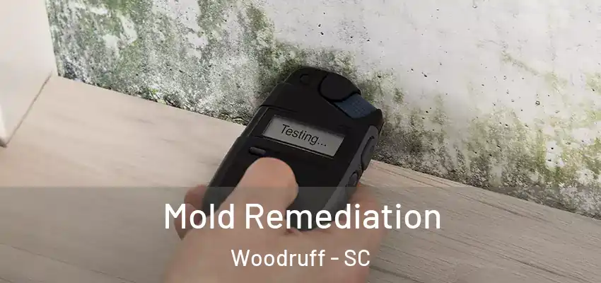  Mold Remediation Woodruff - SC