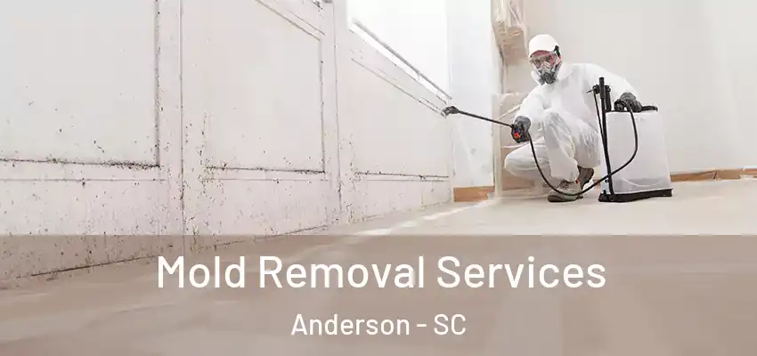  Mold Removal Services Anderson - SC