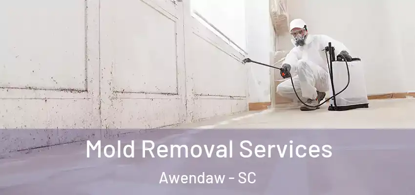  Mold Removal Services Awendaw - SC