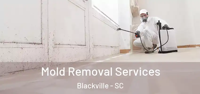  Mold Removal Services Blackville - SC