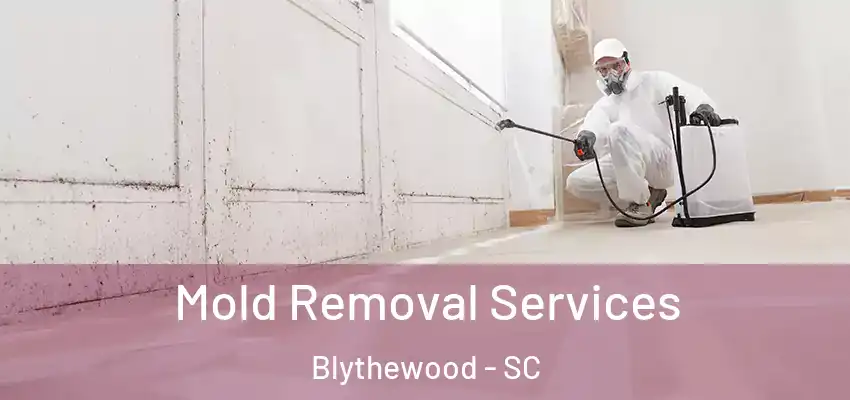  Mold Removal Services Blythewood - SC
