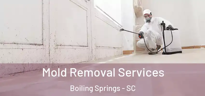  Mold Removal Services Boiling Springs - SC