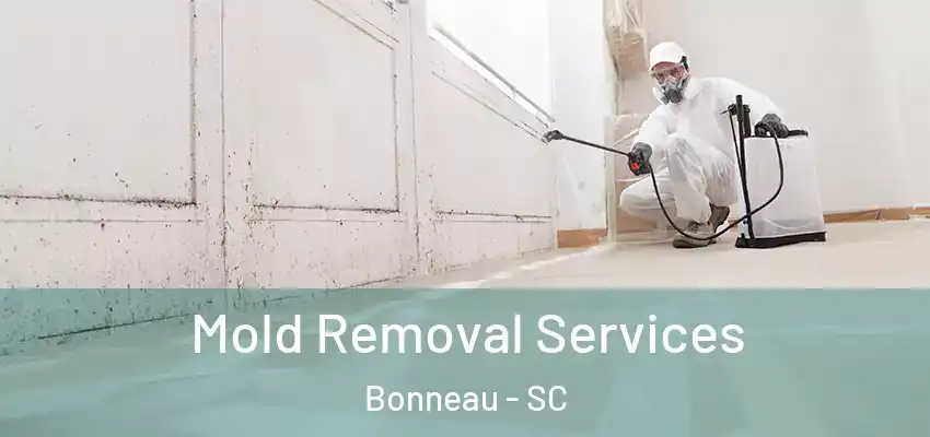 Mold Removal Services Bonneau - SC