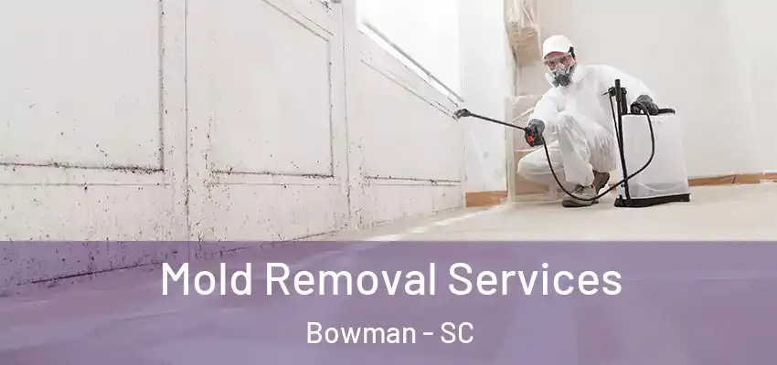 Mold Removal Services Bowman - SC