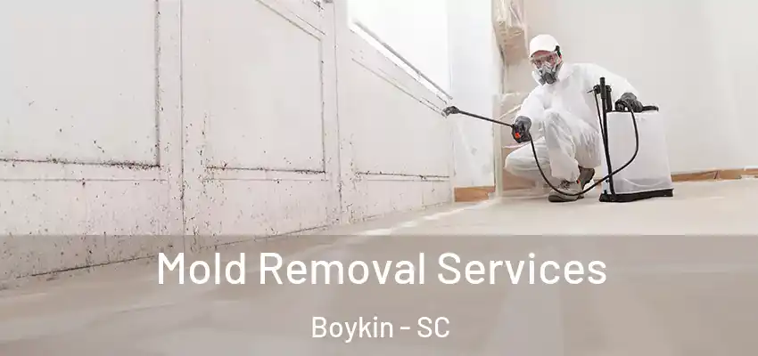 Mold Removal Services Boykin - SC