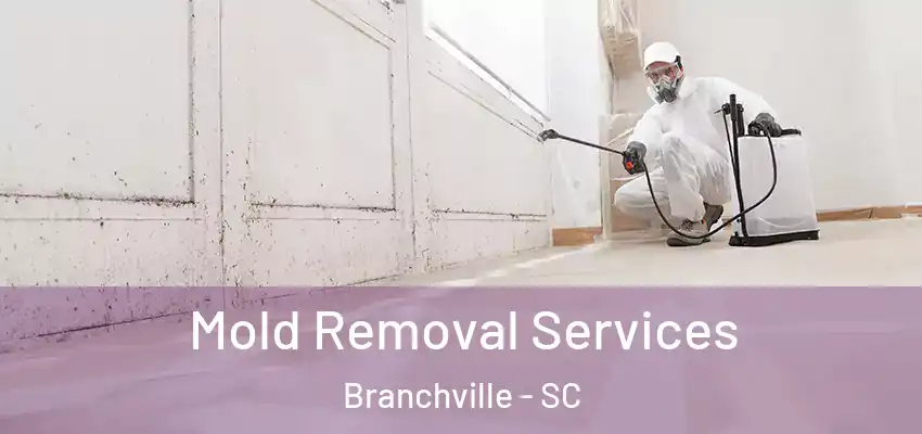  Mold Removal Services Branchville - SC