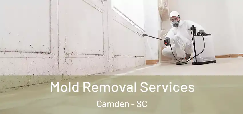 Mold Removal Services Camden - SC