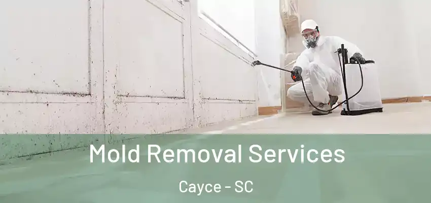Mold Removal Services Cayce - SC