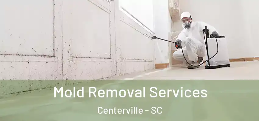 Mold Removal Services Centerville - SC
