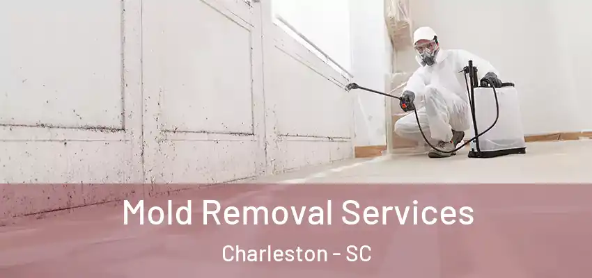  Mold Removal Services Charleston - SC