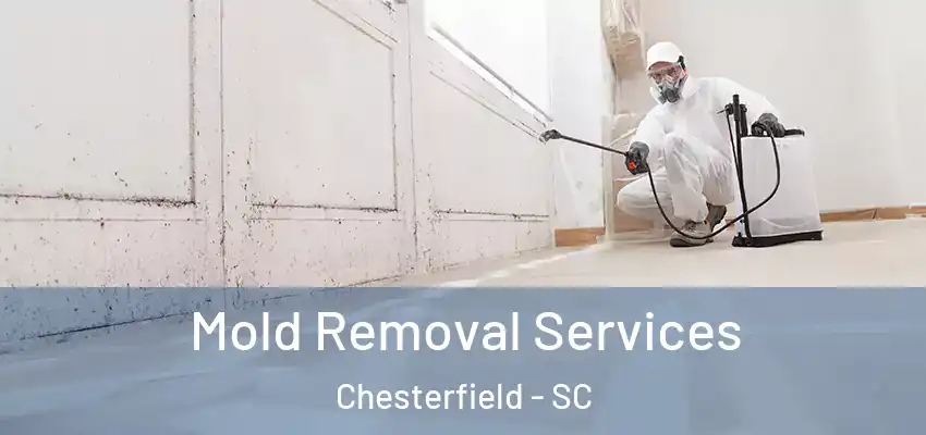 Mold Removal Services Chesterfield - SC