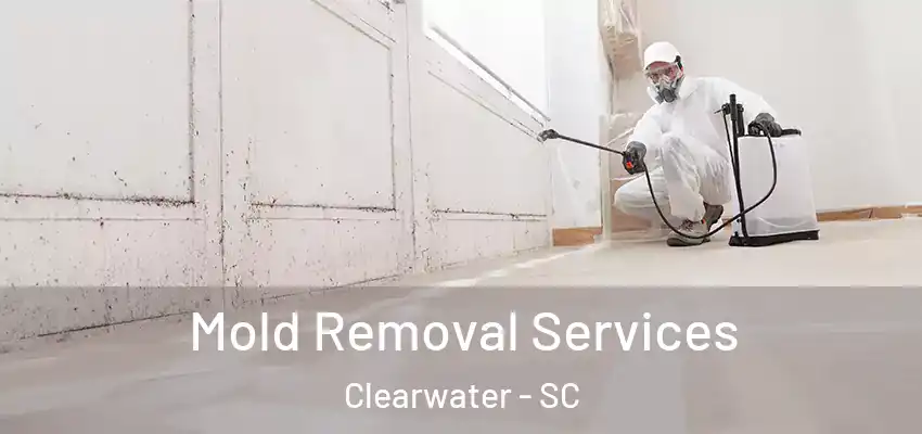  Mold Removal Services Clearwater - SC