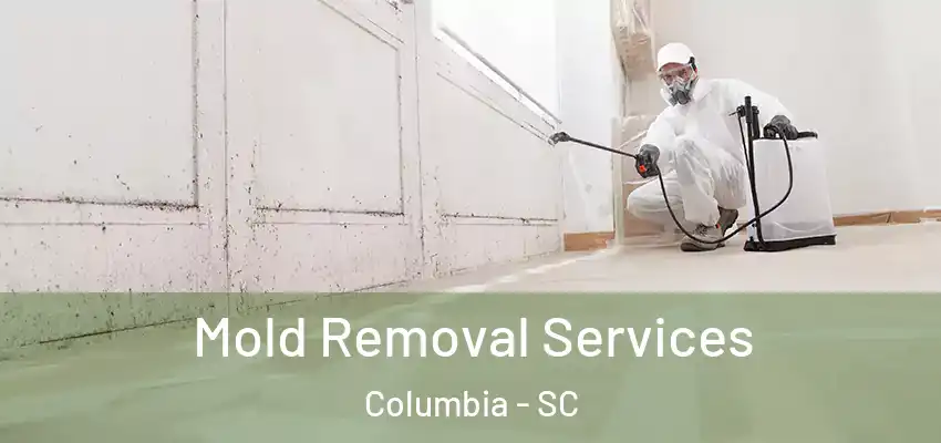  Mold Removal Services Columbia - SC
