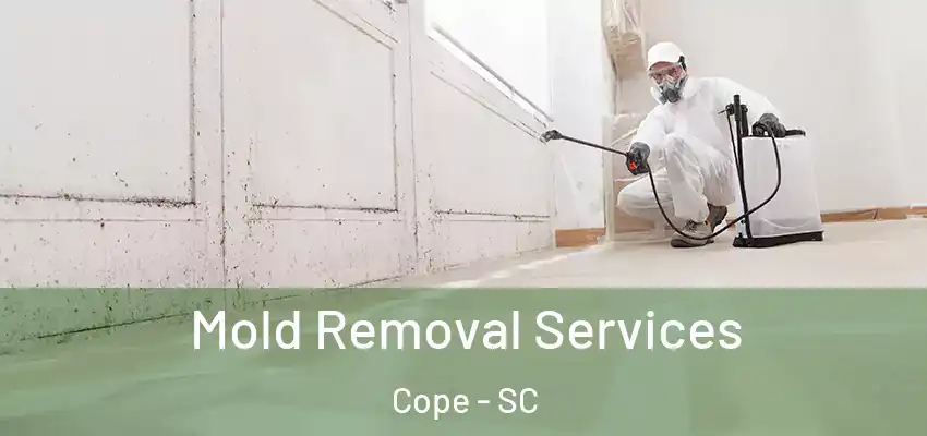 Mold Removal Services Cope - SC