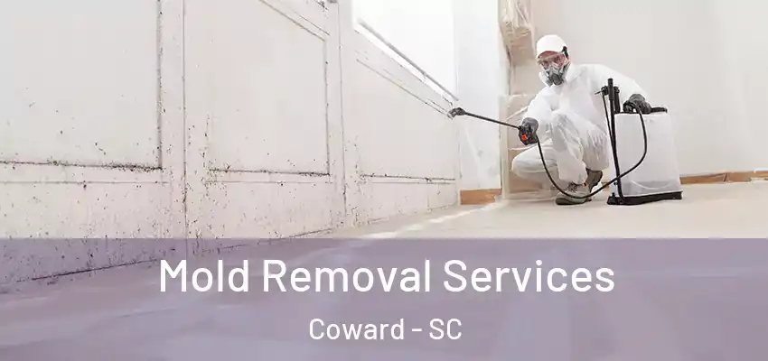Mold Removal Services Coward - SC