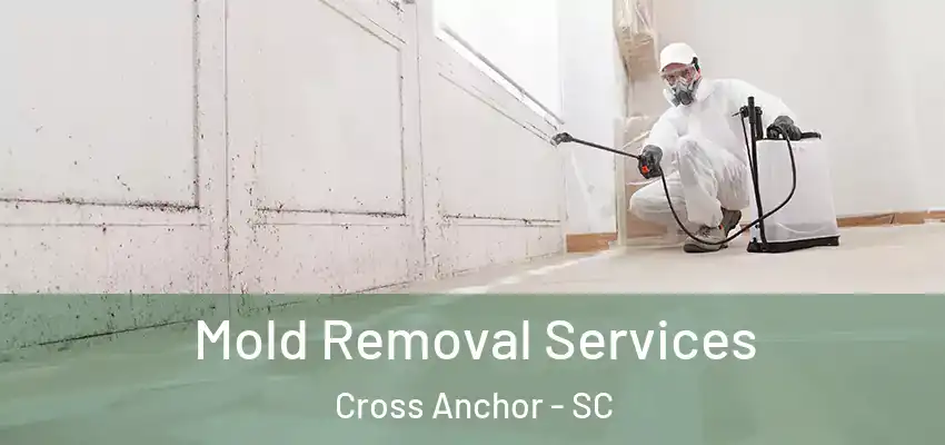  Mold Removal Services Cross Anchor - SC