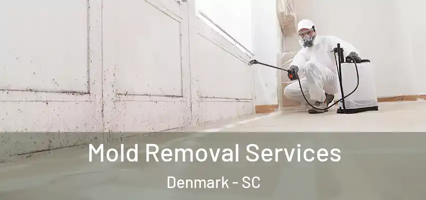 Mold Removal Services Denmark - SC