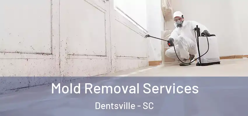  Mold Removal Services Dentsville - SC