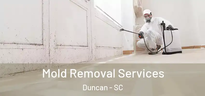 Mold Removal Services Duncan - SC