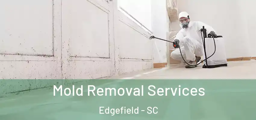 Mold Removal Services Edgefield - SC