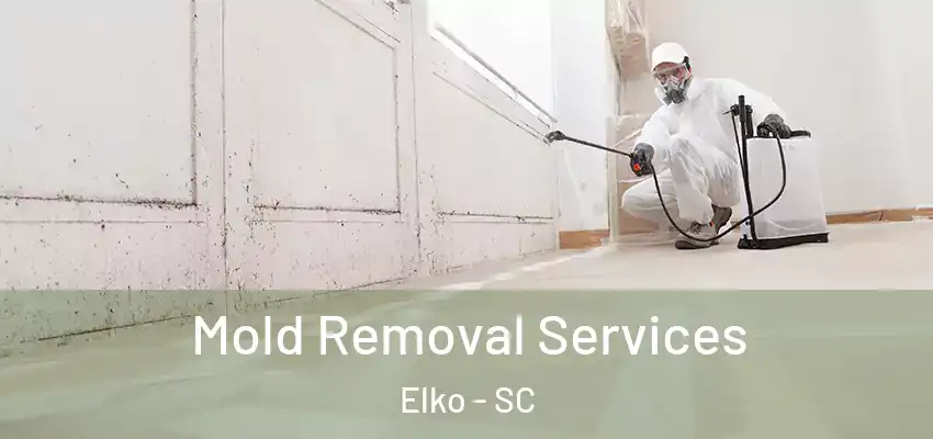 Mold Removal Services Elko - SC