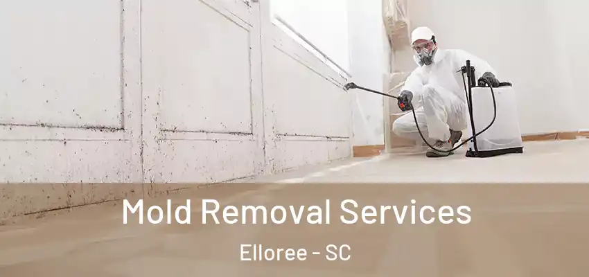 Mold Removal Services Elloree - SC
