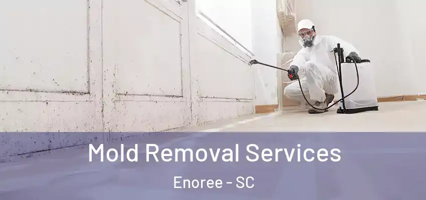 Mold Removal Services Enoree - SC
