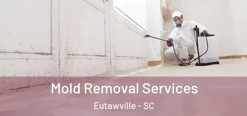  Mold Removal Services Eutawville - SC