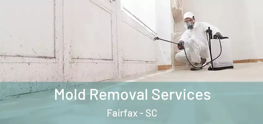  Mold Removal Services Fairfax - SC