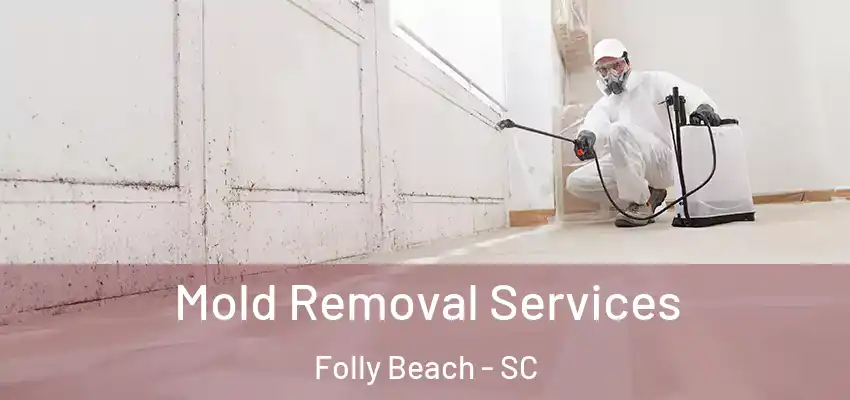  Mold Removal Services Folly Beach - SC