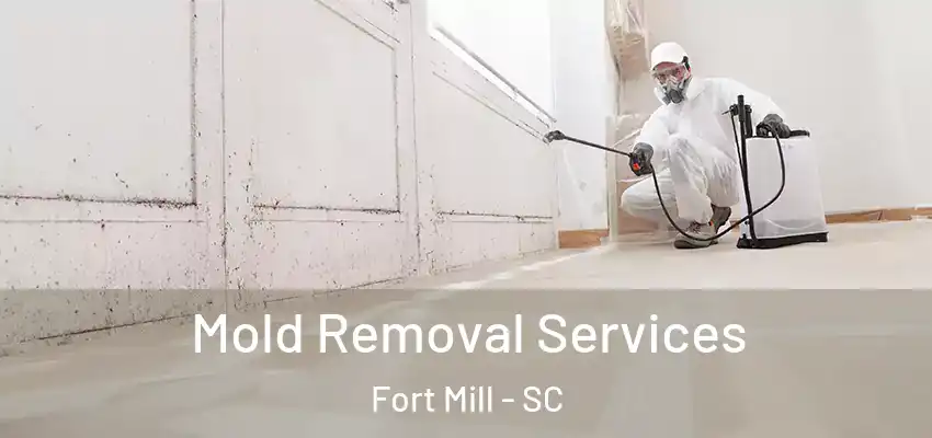  Mold Removal Services Fort Mill - SC
