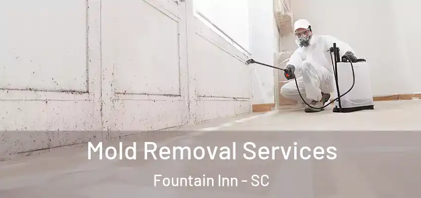 Mold Removal Services Fountain Inn - SC