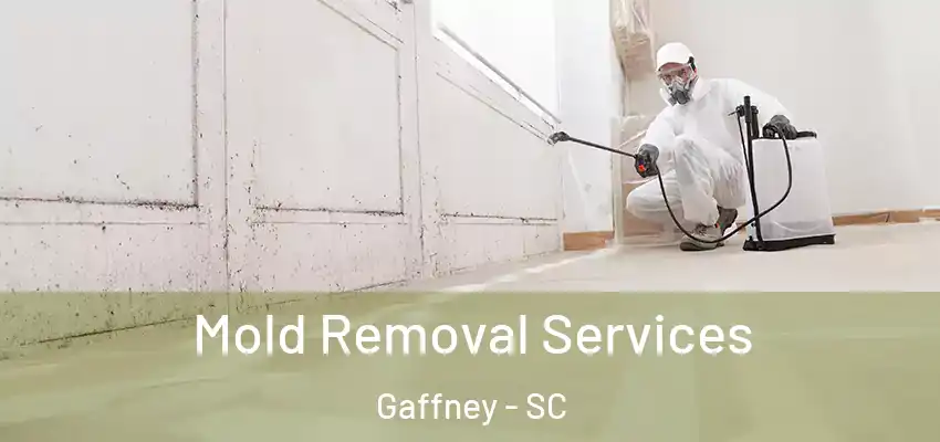 Mold Removal Services Gaffney - SC
