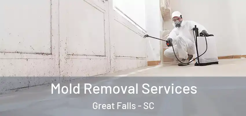Mold Removal Services Great Falls - SC