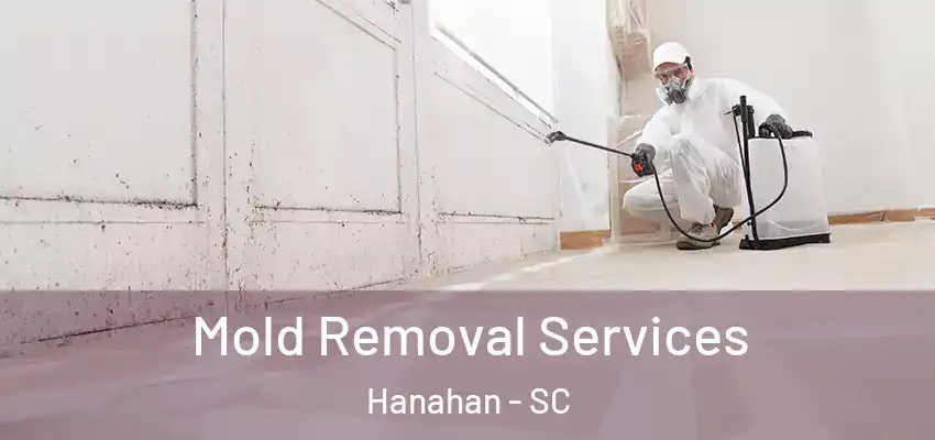  Mold Removal Services Hanahan - SC
