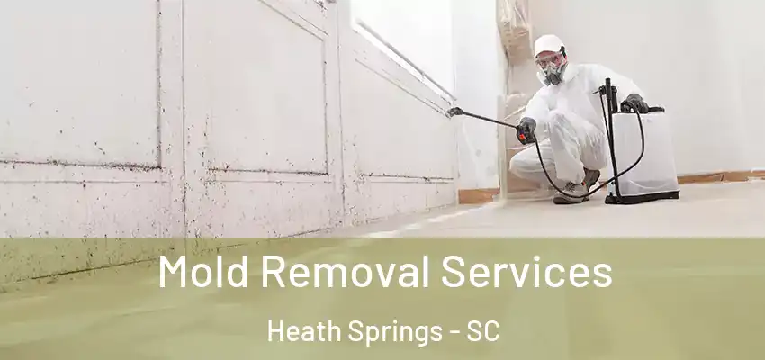 Mold Removal Services Heath Springs - SC