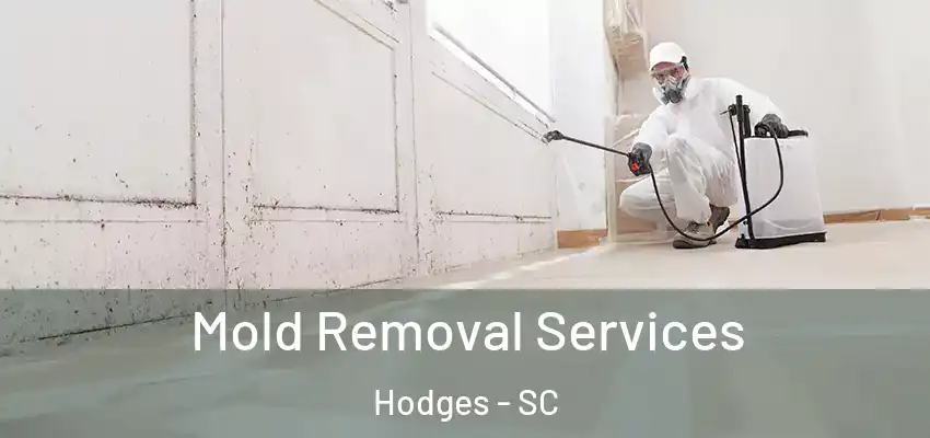 Mold Removal Services Hodges - SC