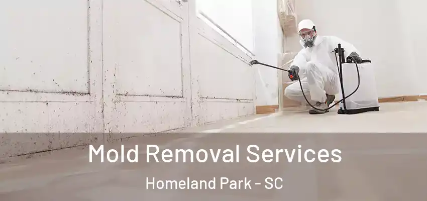 Mold Removal Services Homeland Park - SC