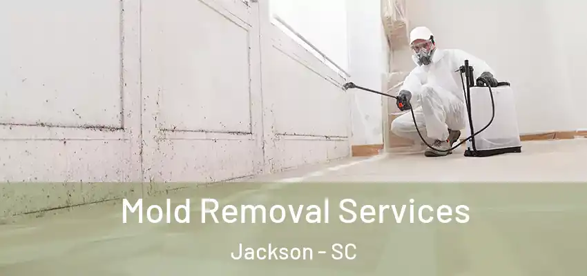  Mold Removal Services Jackson - SC