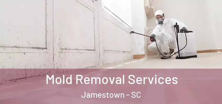  Mold Removal Services Jamestown - SC