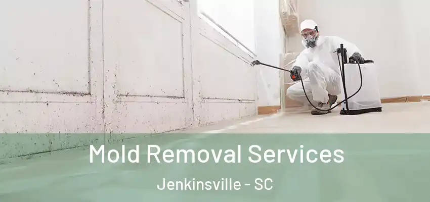 Mold Removal Services Jenkinsville - SC