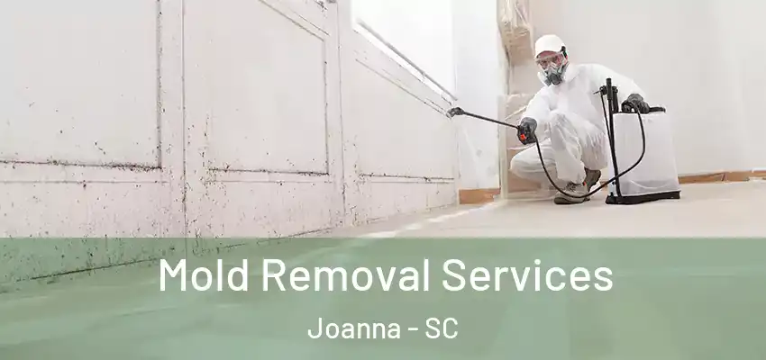  Mold Removal Services Joanna - SC