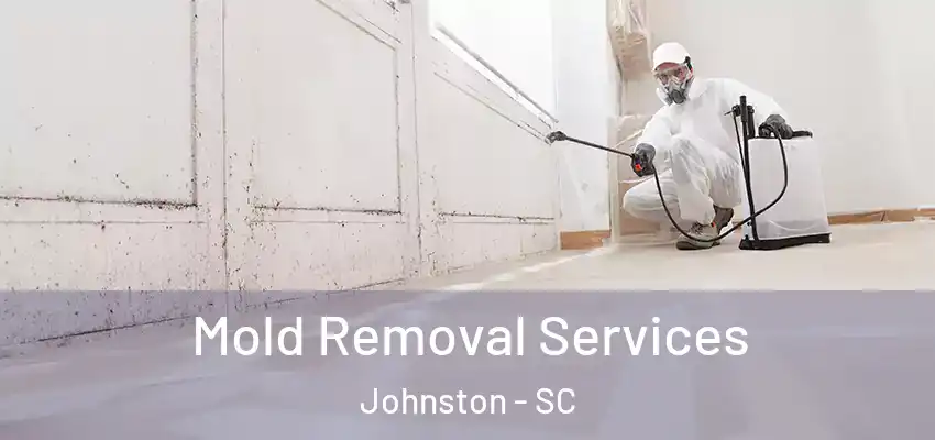 Mold Removal Services Johnston - SC