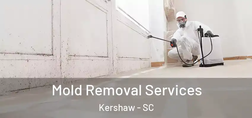  Mold Removal Services Kershaw - SC